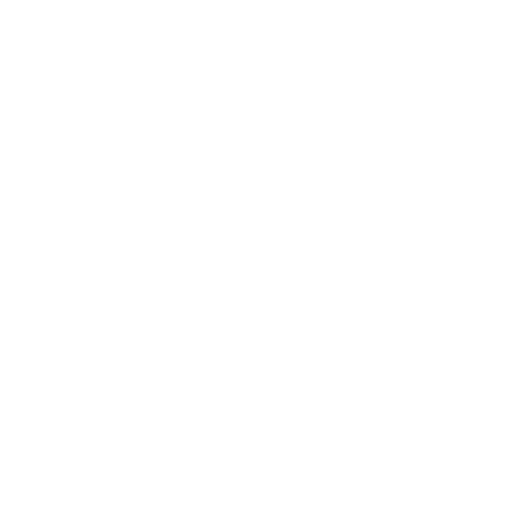 A professional badge showcasing BH678 security features.